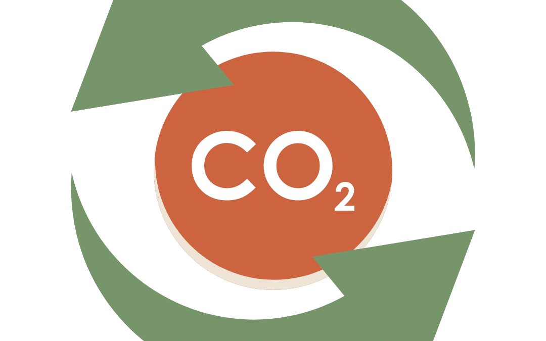 Wie Myzel Verpackungen zum CO2 Recycling beitragen können